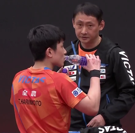 葡萄牙队险胜奥地利队,张本智和扛起全队 葡萄牙队险胜奥地利队,张本智和扛起全队