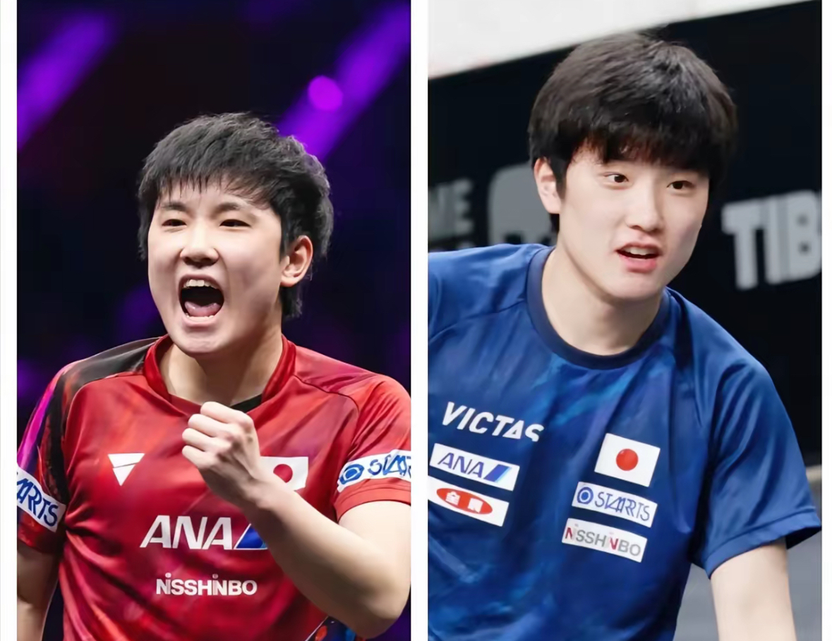 瑞典队险胜英格兰队,张本智和状态火热 瑞典队险胜英格兰队,张本智和状态火热