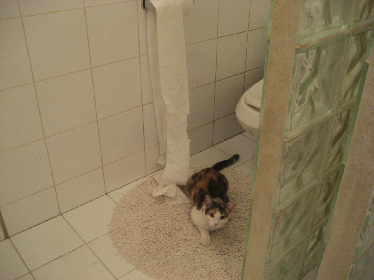 布克化身秘密武器,火箭横扫吉林获三连胜