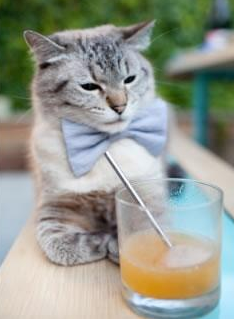 红色骑士的终章，当F1版图上演骑士粉碎马刺的传奇