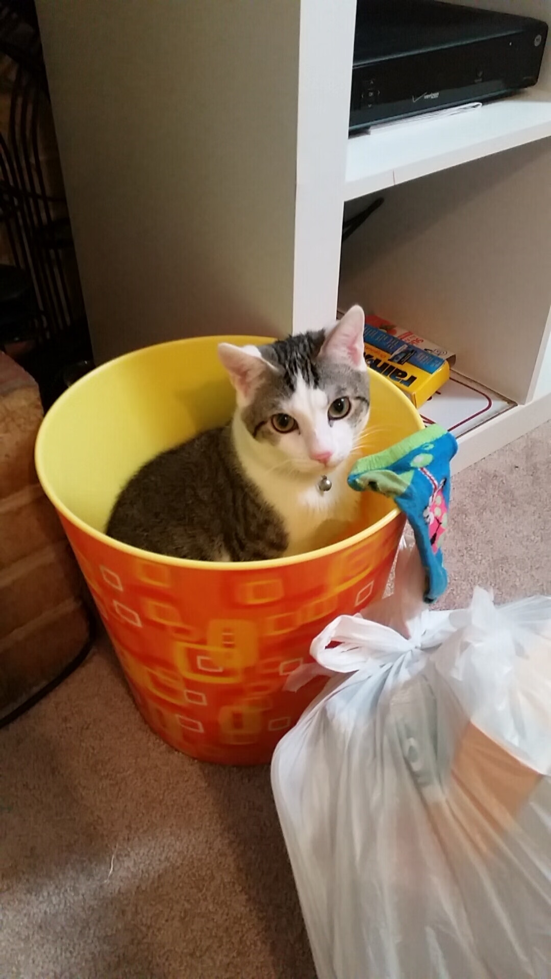 浓眉48分打爆内线!魔术双核68分仍惜败,恩比德空砍38分