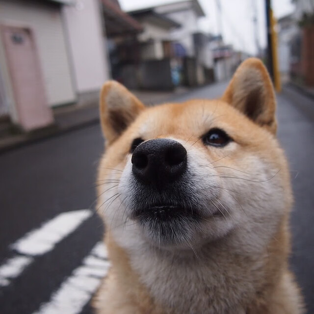 开云体育入口-神话画下句点，巨人建起叹息之墙，库尔图瓦的教科书之夜如何终结了一个葡萄牙奇迹