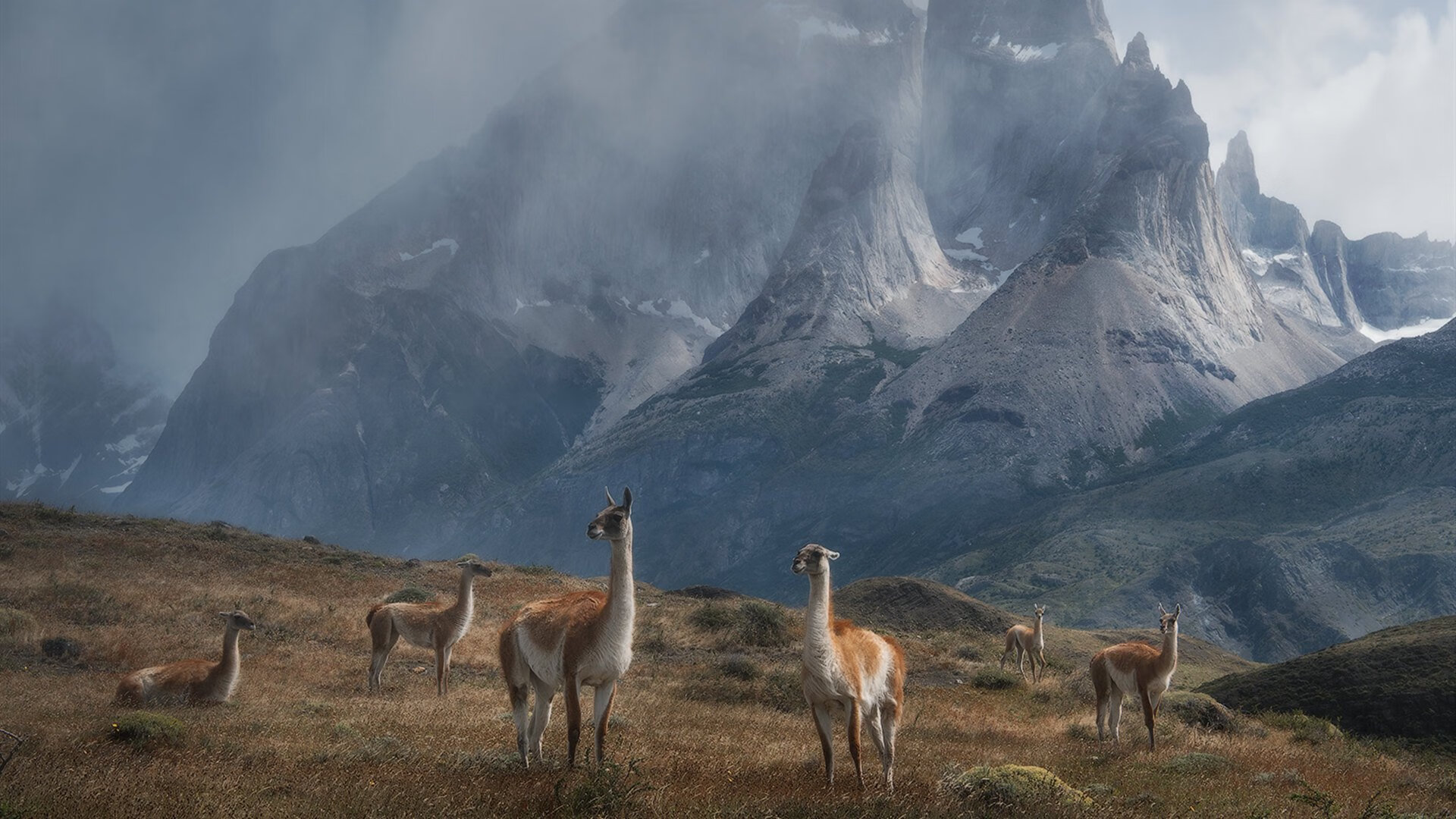 坎特铁闸锁死洪都拉斯，摩洛哥终场绝杀惊险晋级