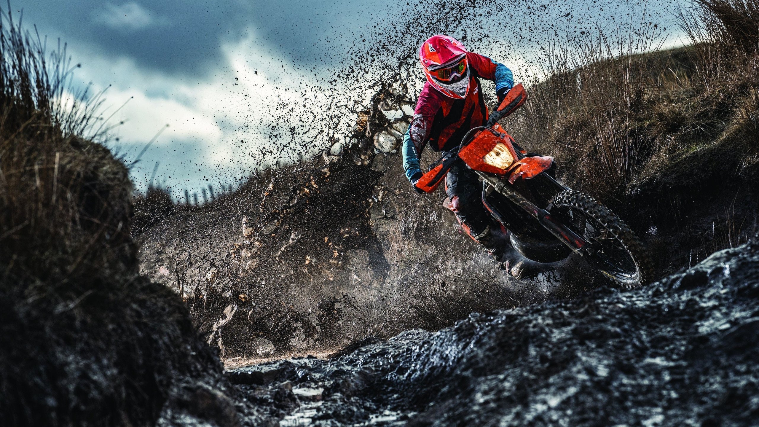 开云APP-维也纳的雨与几内亚的焰，布鲁诺的破晓时分