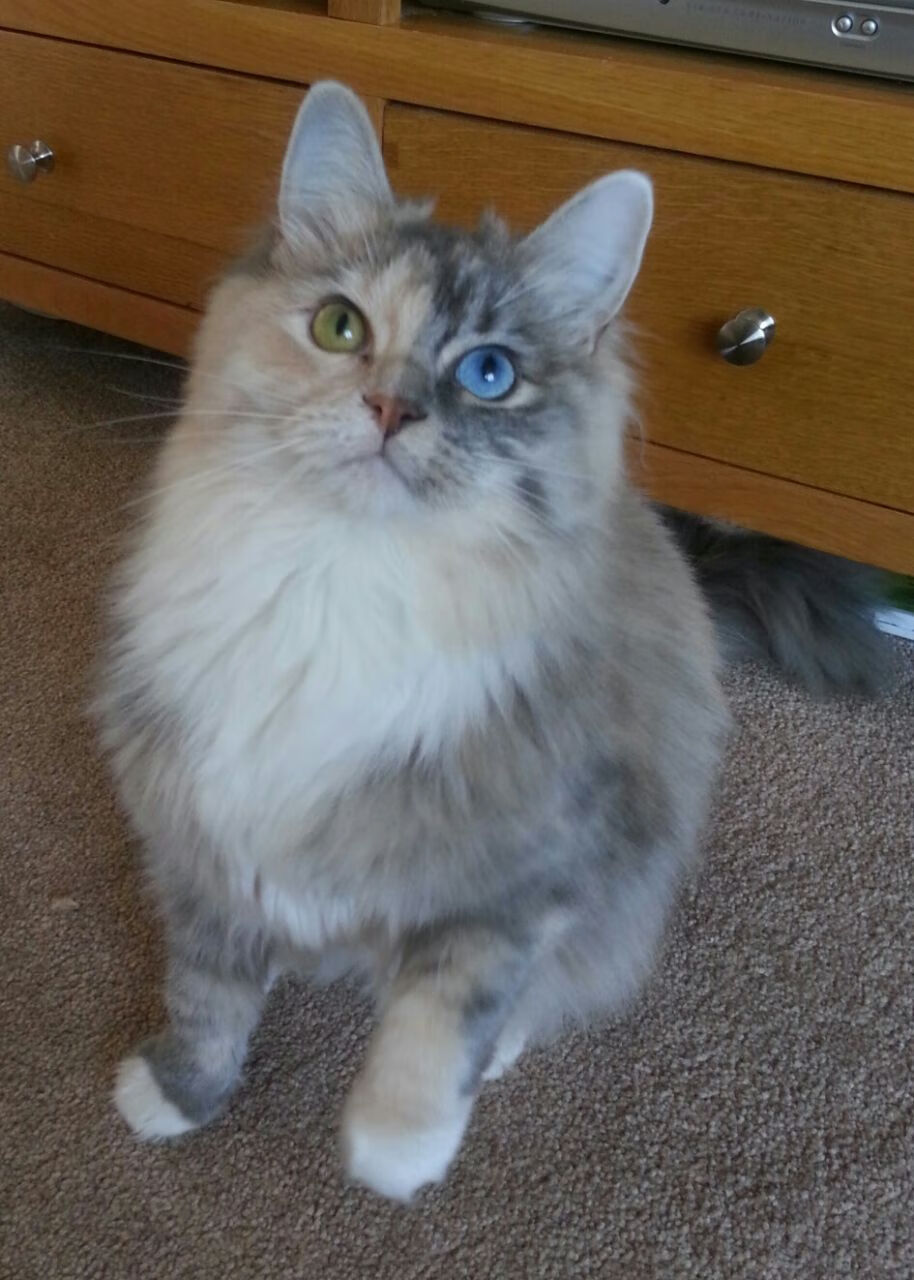 开云APP-最后一轮，我的西亚卡姆击败了曼城