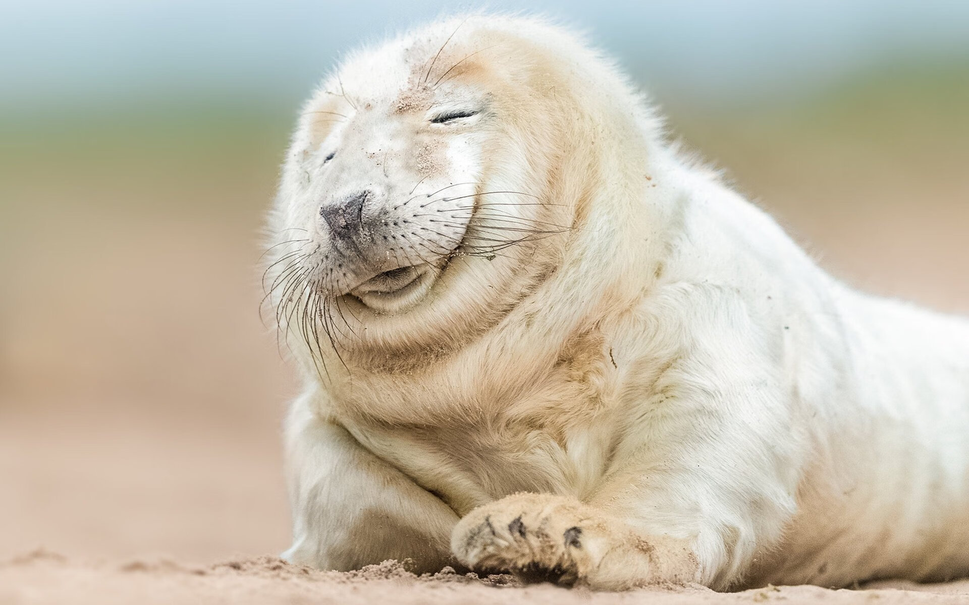 塞维利亚之夜，萨卡一剑封喉，英格兰稳稳拿下哥伦比亚