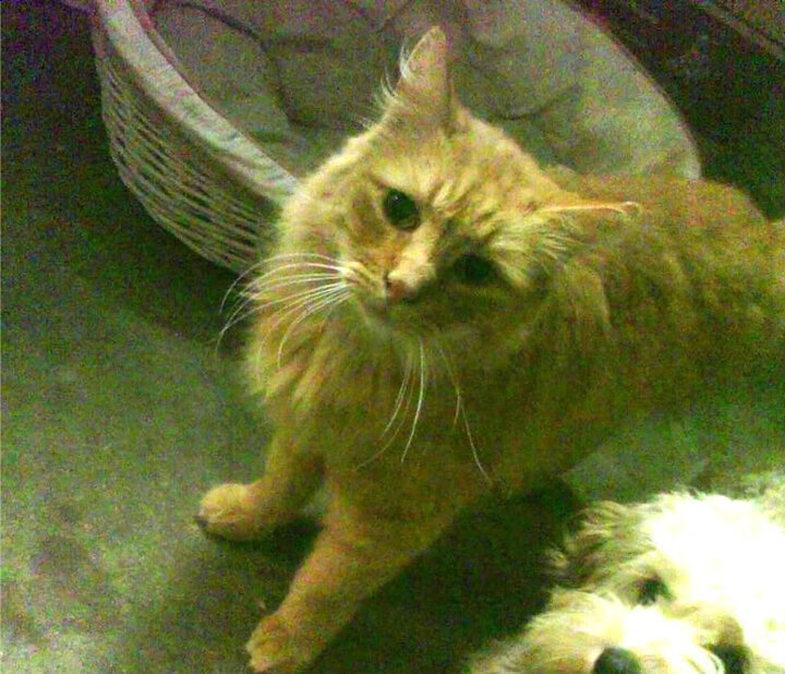 数据爆炸背后，德布劳内用一场错误的比赛完成最正确的救赎