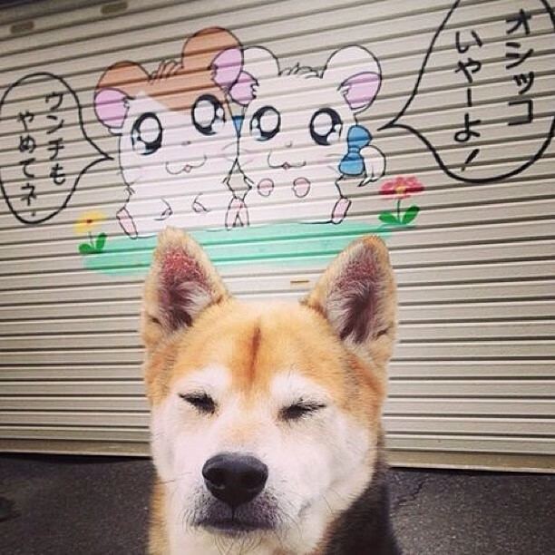 这是一个非常具有冲击力和戏剧性的关键词组合。为了避免写成简单的体育战报，我们可以从文化碰撞、足球哲学、命运转折以及巨星瞬间这几个维度来构建文章的独特性和深度