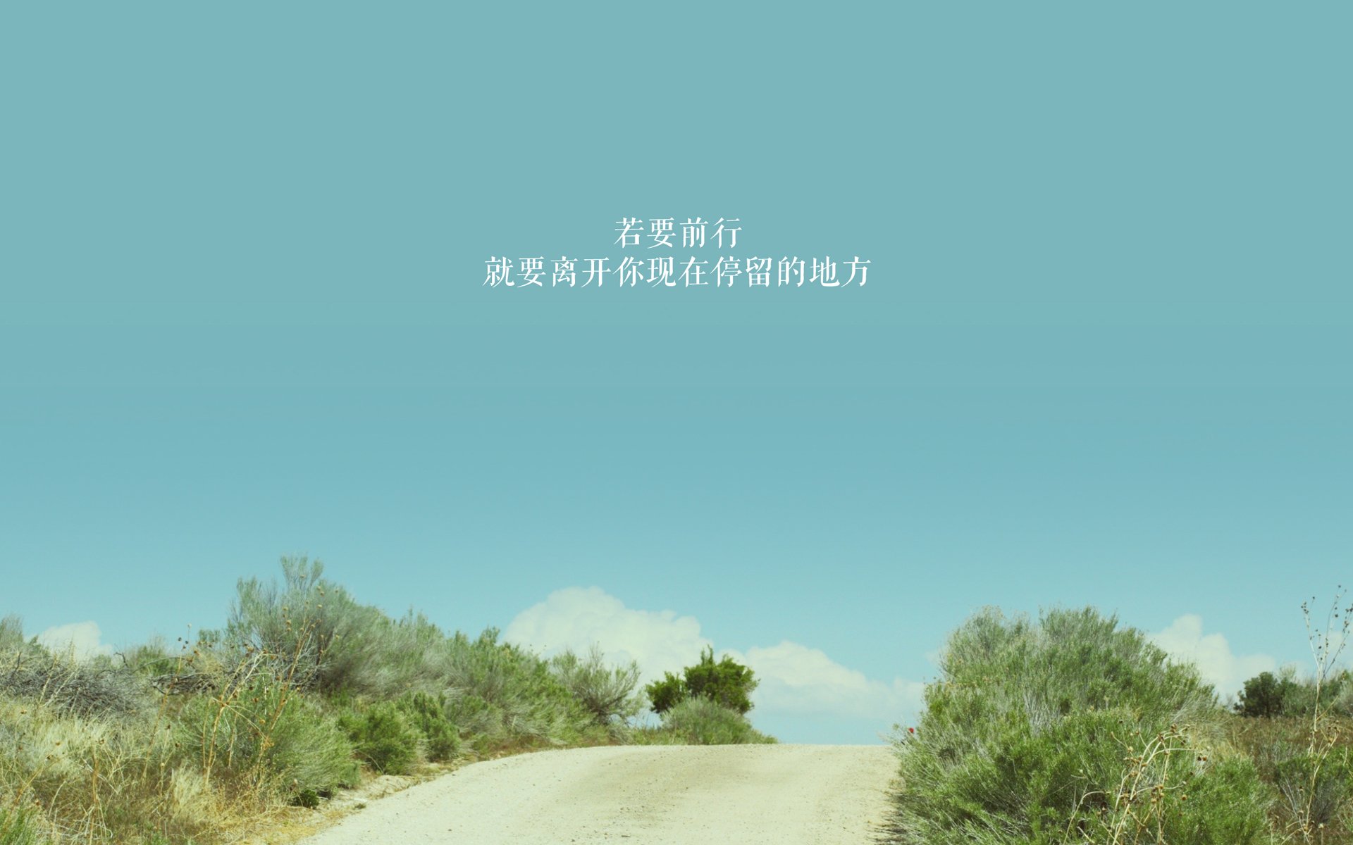 唯一之战，2026世界杯F组，布罗佐维奇用最后的热血，点燃美瑞之巅的窒息对决