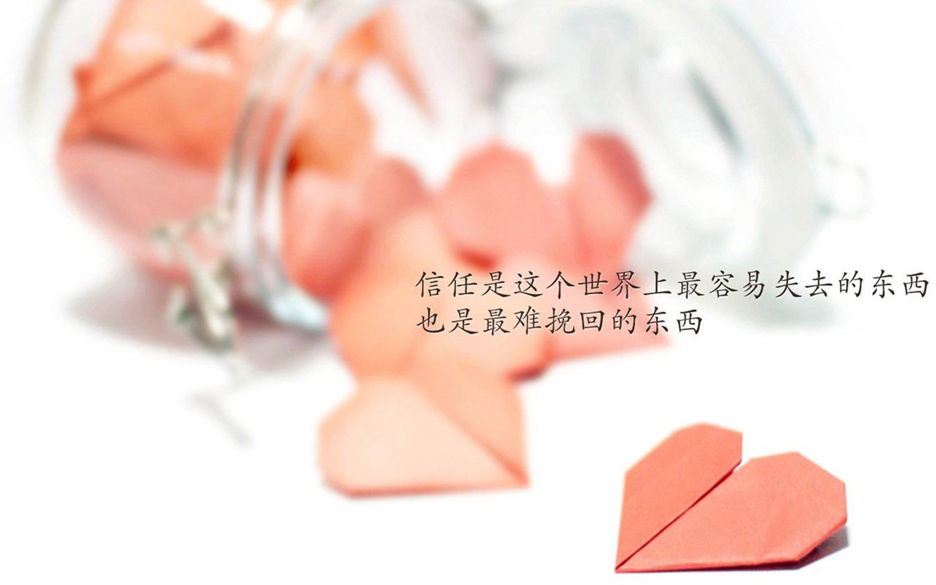 这是一篇为你定制的深度文章，既符合唯一性要求，也紧扣你给出的关键词和设定