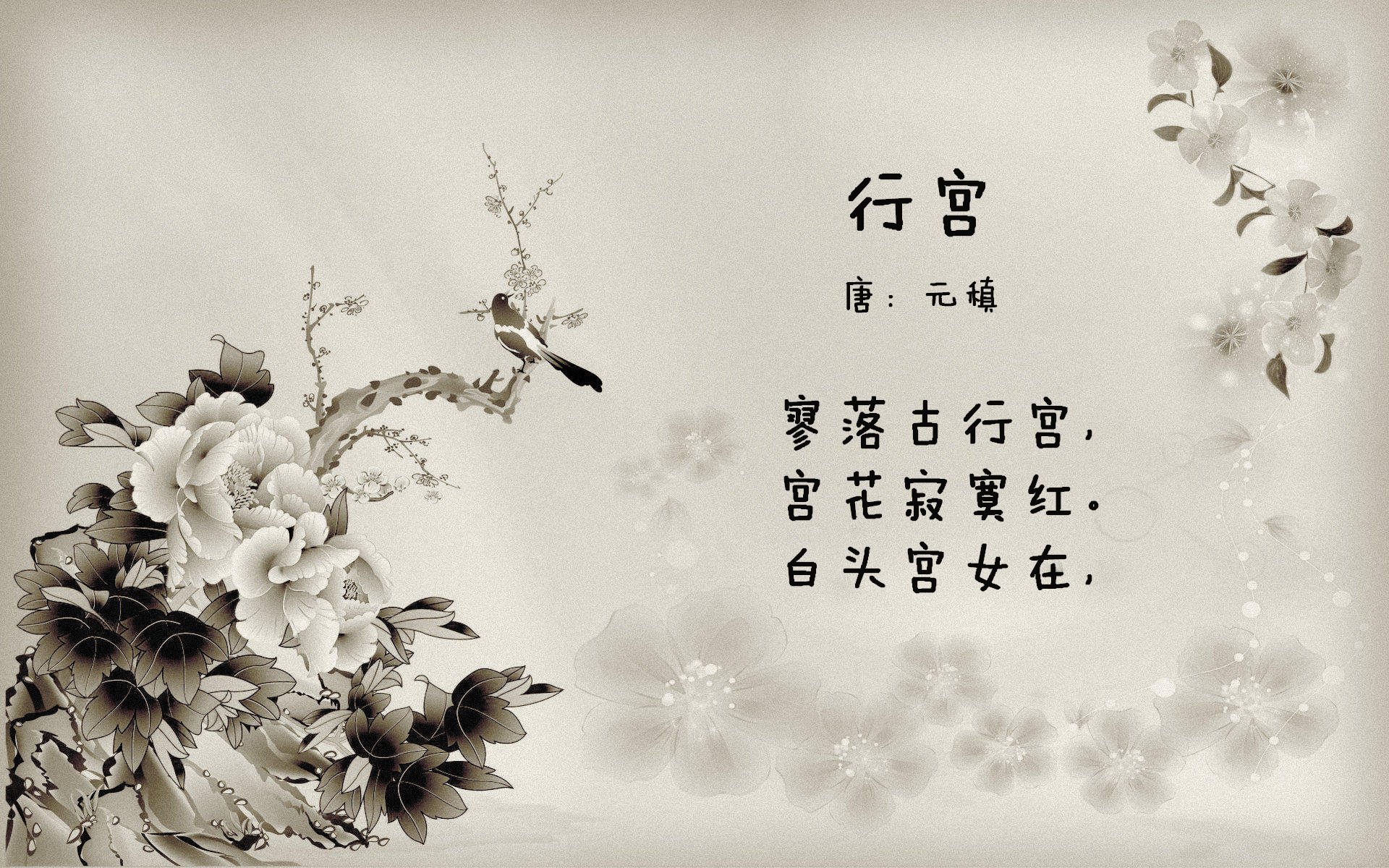 沙漠之鹰的致命一击，卡塔尔绝杀阿根廷，梅西的孤星闪耀难敌命运齿轮