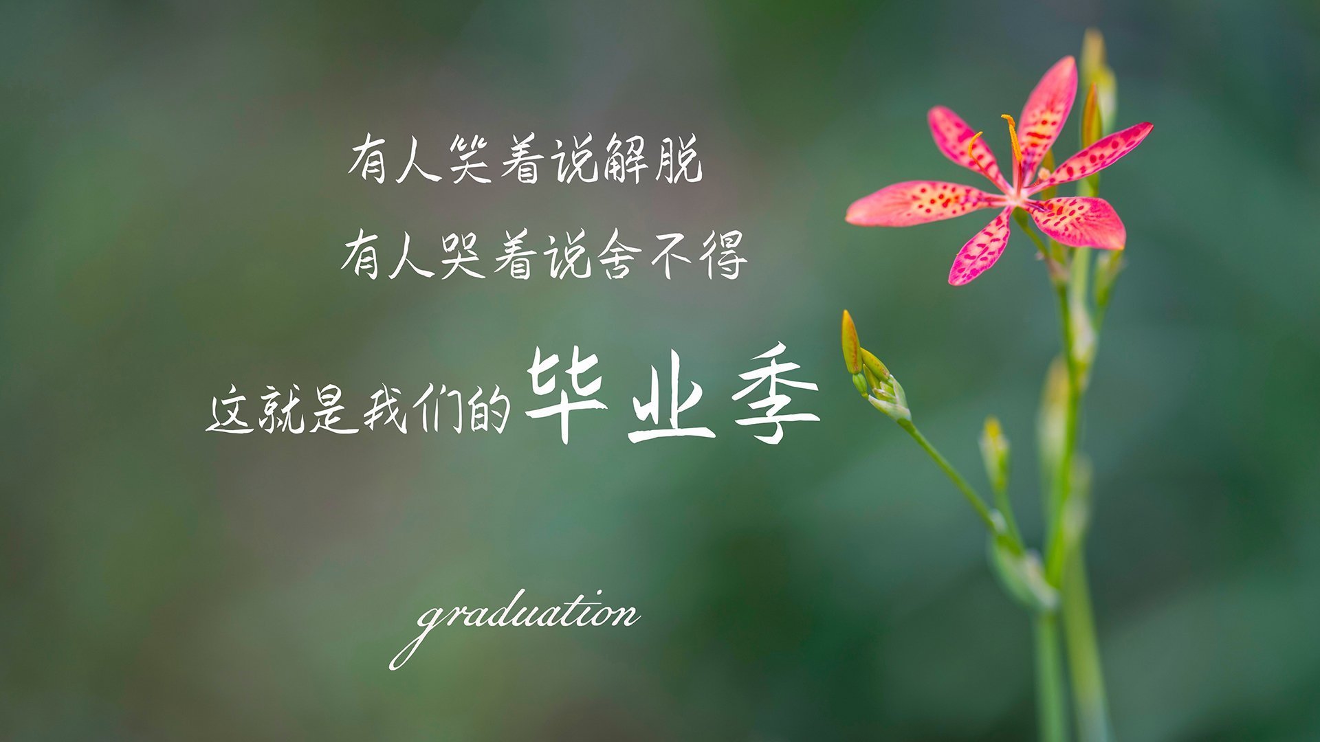 开云体育-赫尔辛基的黄昏，当历史的齿轮在2026年悄然咬合—莫德里奇与一场被遗忘的宿命之战