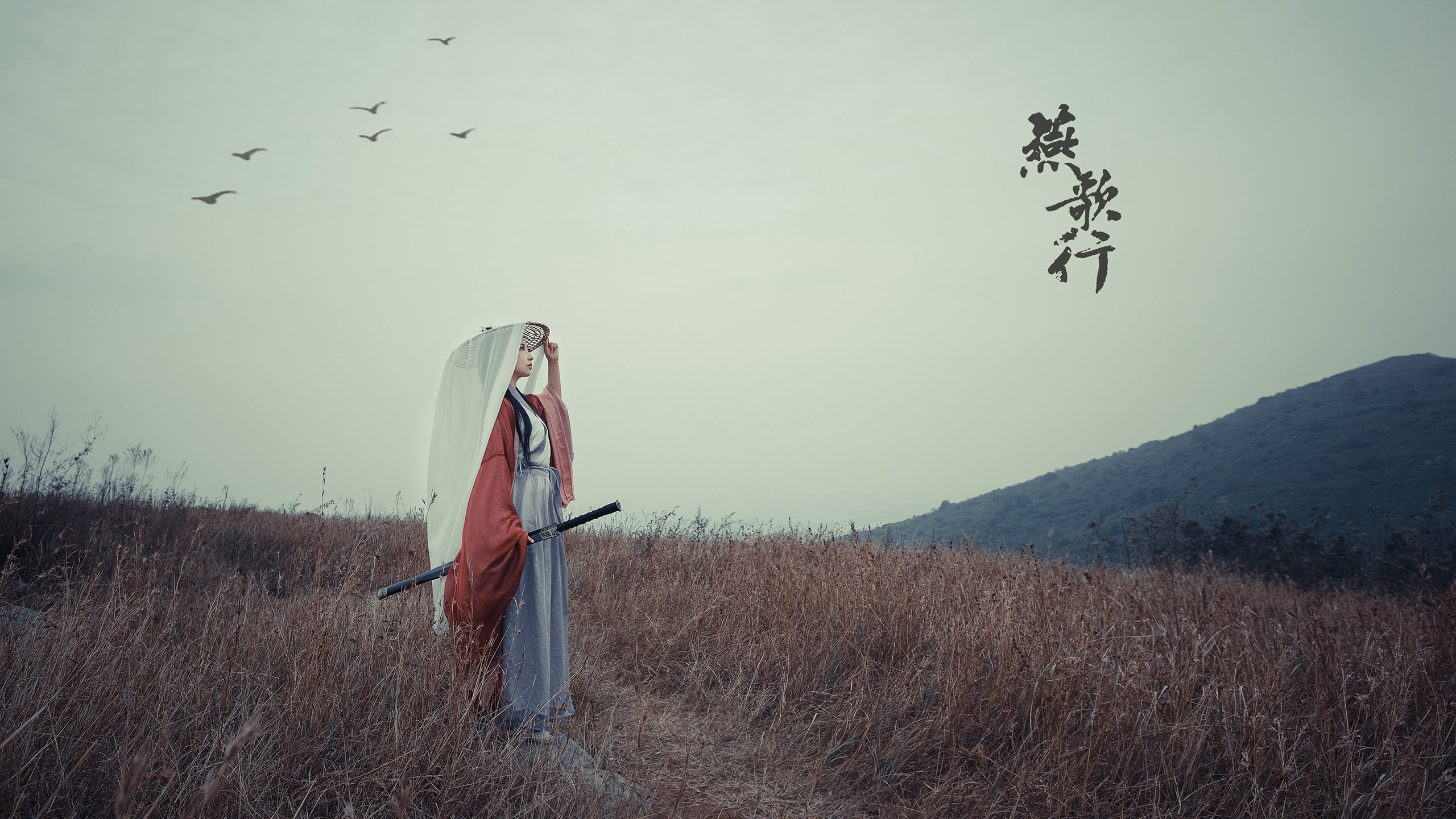 逆转之夜，星光与奇兵的协奏曲，2026世界杯B组，伊朗用坚韧撕碎泰国，佩德里用魔法点亮全场